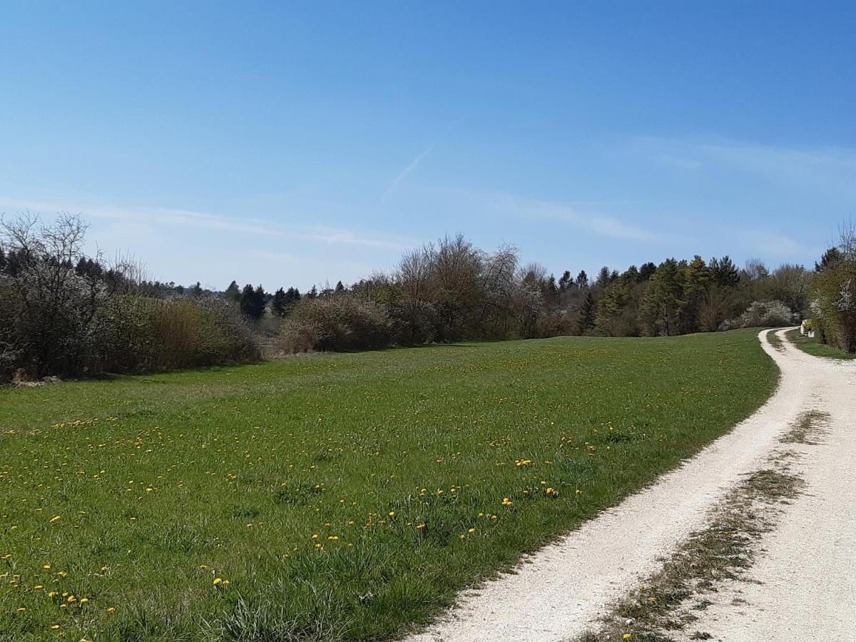 Staedtle-Blick Appartement Hayingen Buitenkant foto